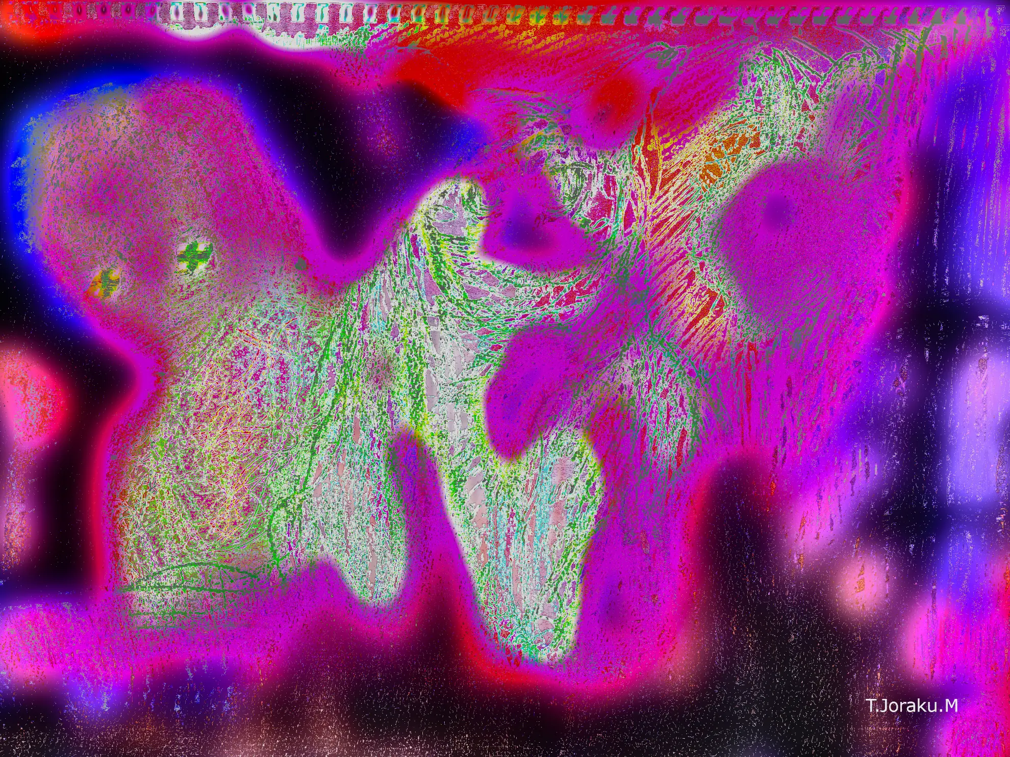 The brilliance of virtual coexistence, Mr.SYS.T.M (2023-2024) The brilliance of virtual coexistence, Mr.SYS.T.M (2023-2024)