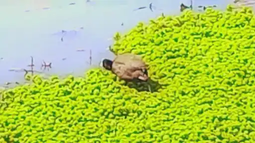 Mar_18_2024-frame_2